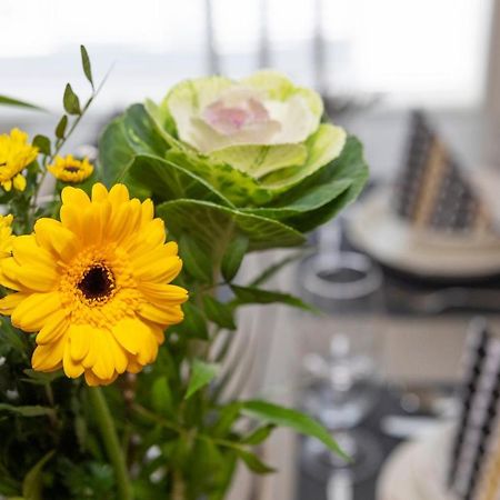 Vasko Luxurious Suites, Kaakkuri Rovaniemi Kültér fotó